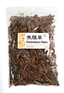 High Quality Chameleon Plant Heartleaf Houttuynia Yu Xing Cao
