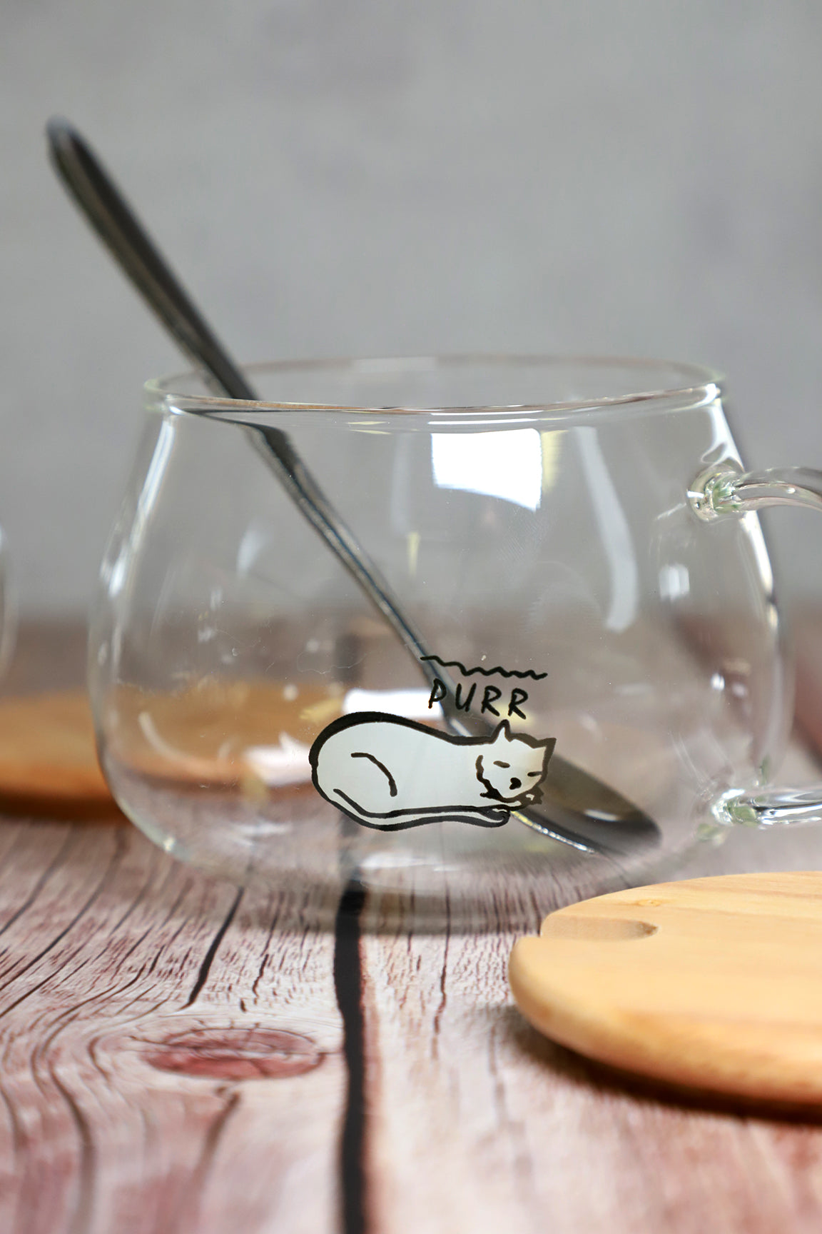 Cute Fruity Mug Glass Mug with Spoon and Wood Lid – GinkgoHome