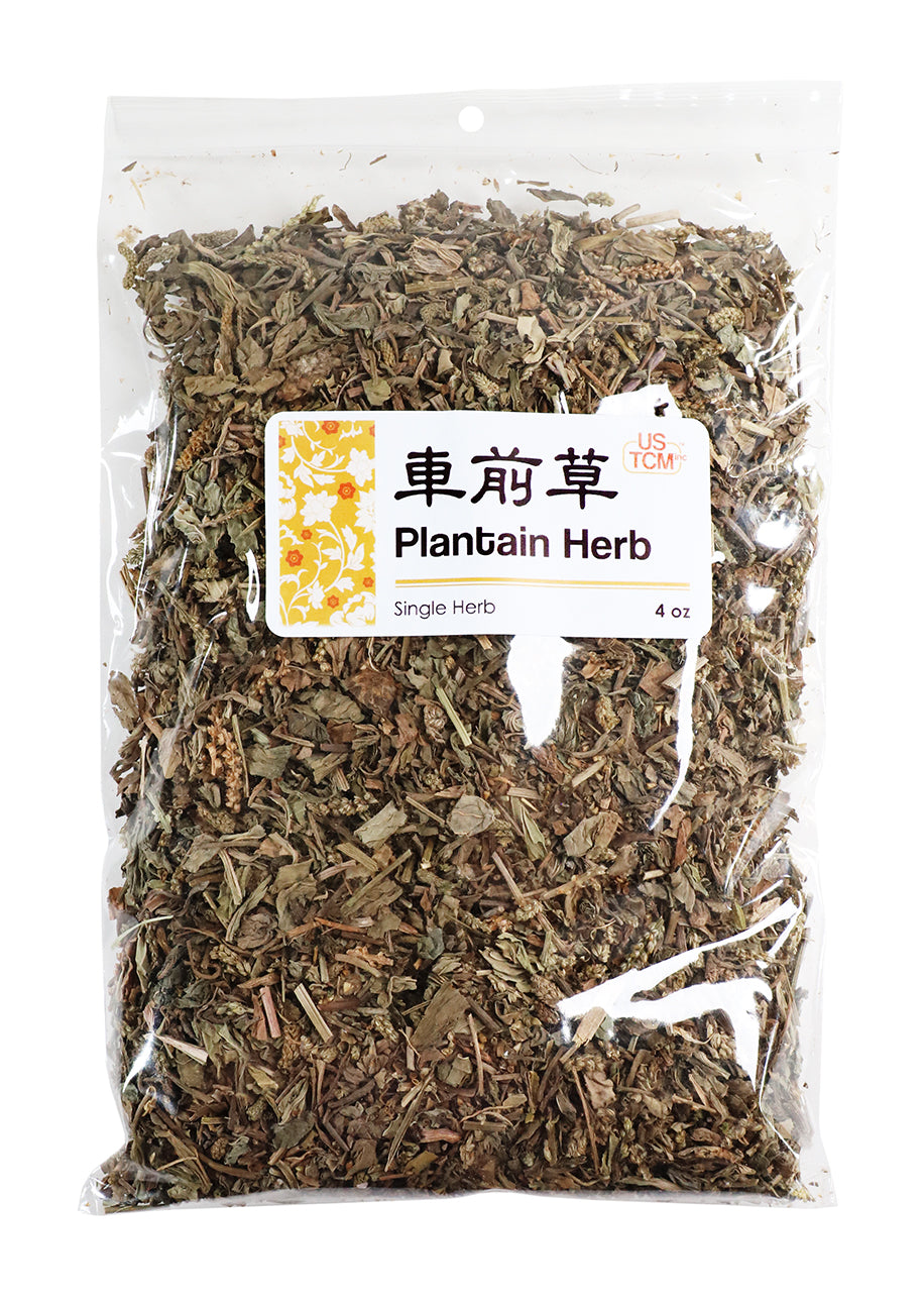 High Quality Plantain Herb Che Qian Cao