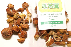 High Quality Blazei Brazilian Cap Mushroom Ji Song Rong